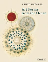 Haeckel: Art Forms from the Ocean