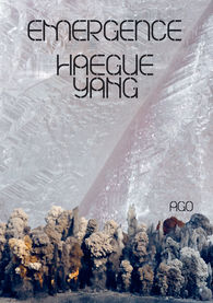 Haegue Yang