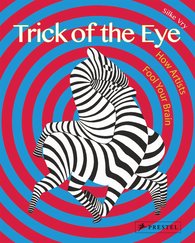 Trick of the Eye