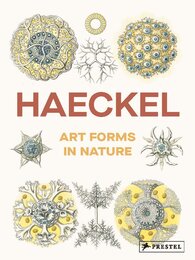 Art Forms in Nature: The Prints of Ernst Haeckel