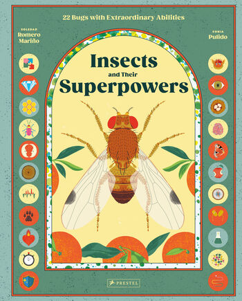 Insects and Their Superpowers
