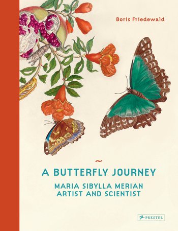 A Butterfly Journey