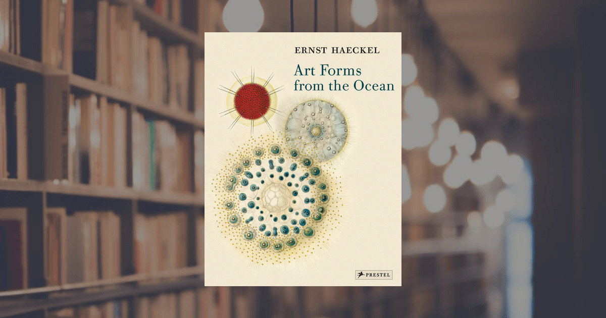 Olaf Breidbach Haeckel Art Forms From The Ocean Prestel Publishing Paperback