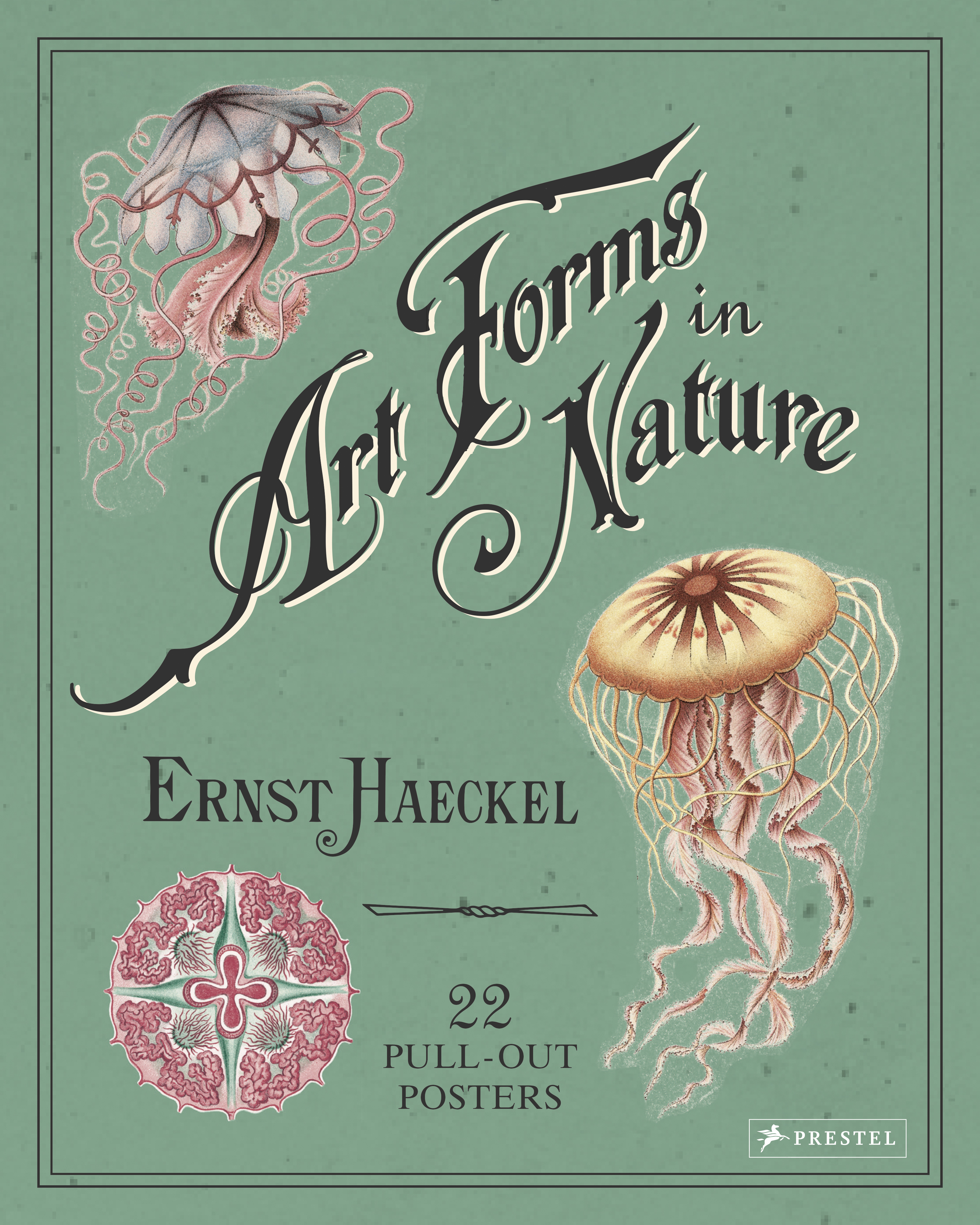 Kira Uthoff: Ernst Haeckel - Art in Nature. Prestel Publishing (Paperback)